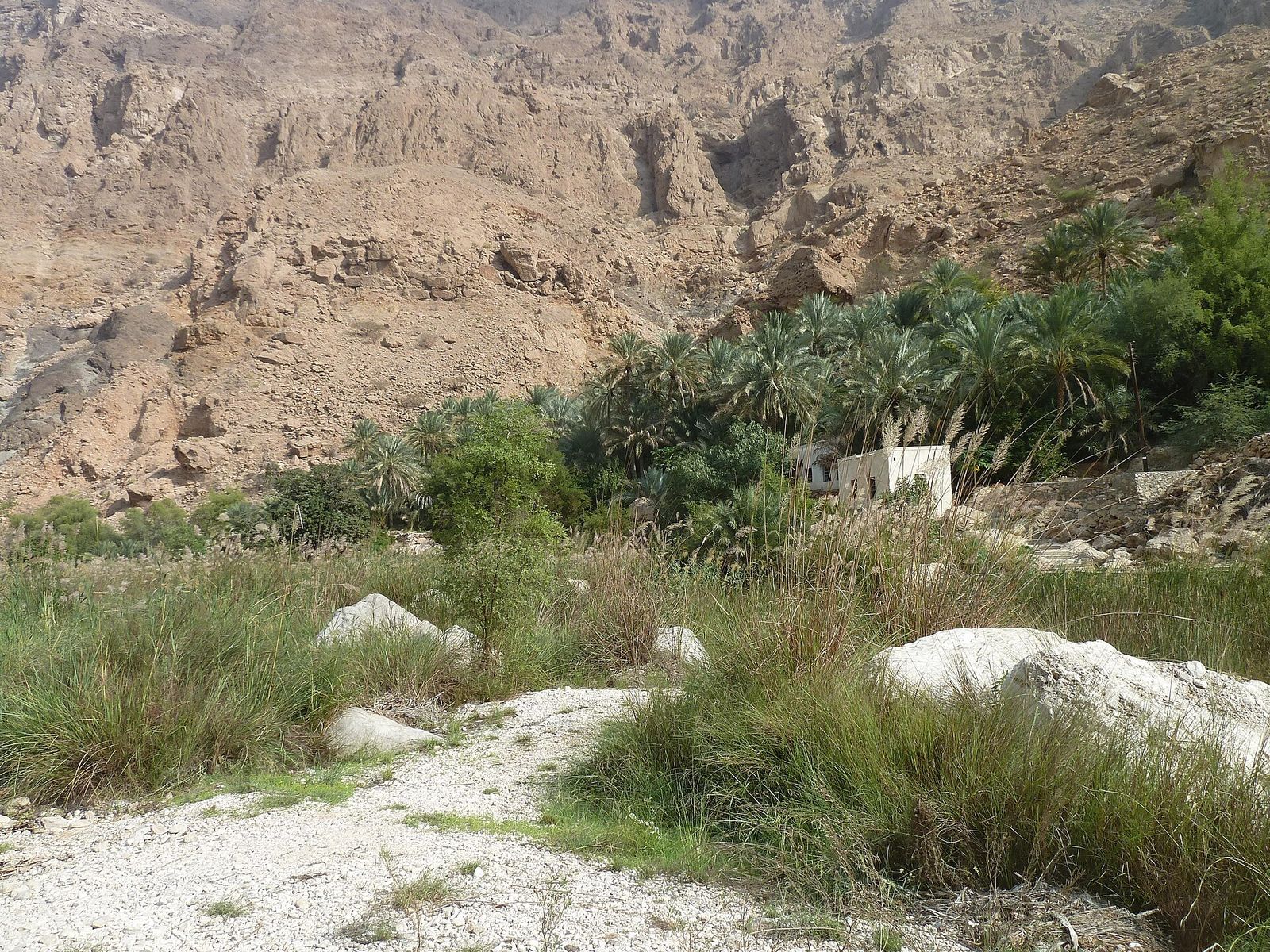 Wadi Tiwi Drive